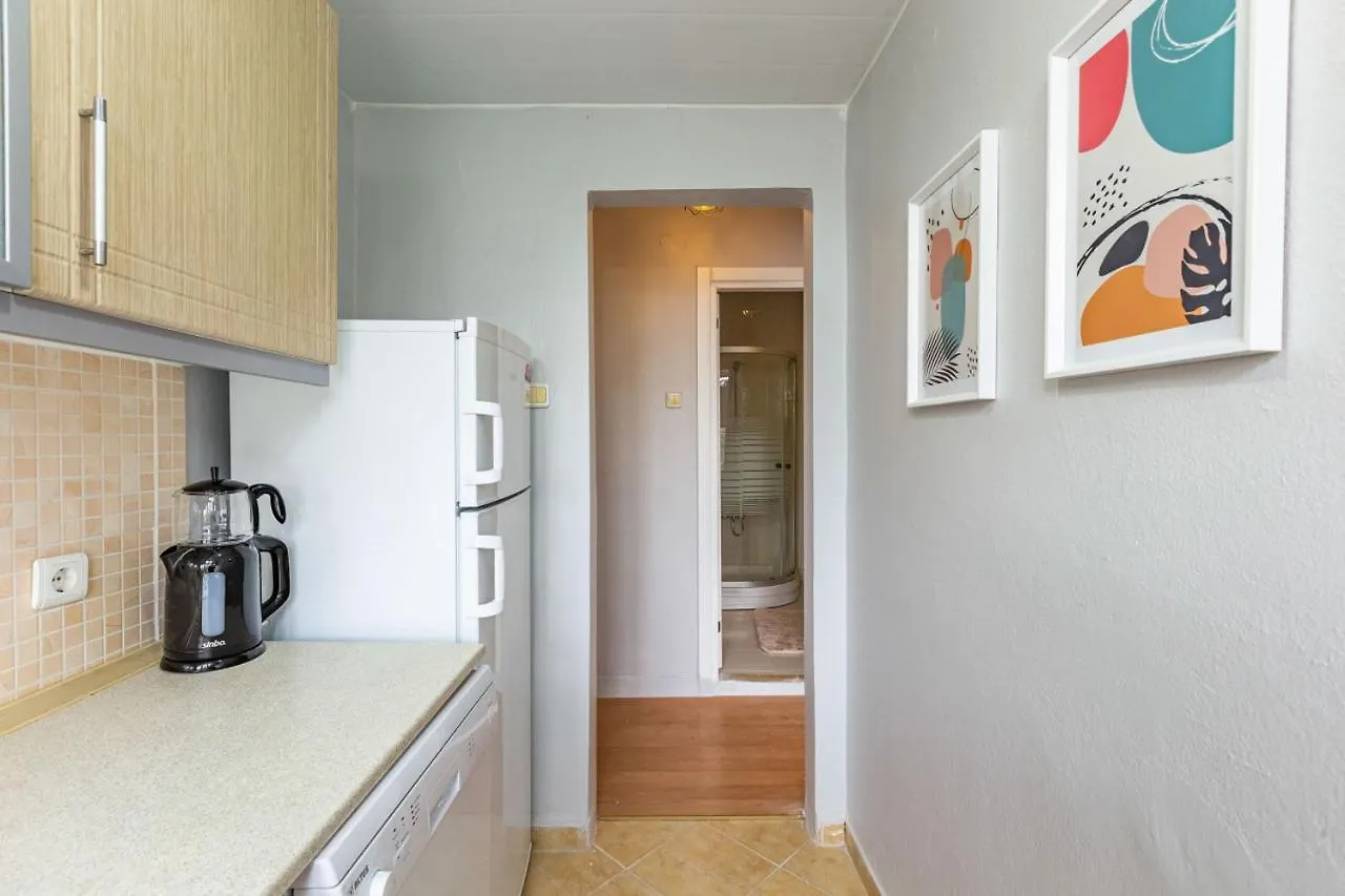 Апартаменты Modern Home In Fatih Near Historical Landmarks Стамбул Турция